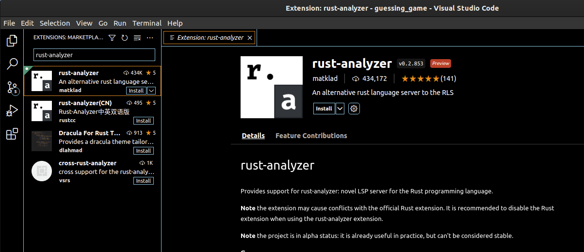 Select rust-analyzer extension